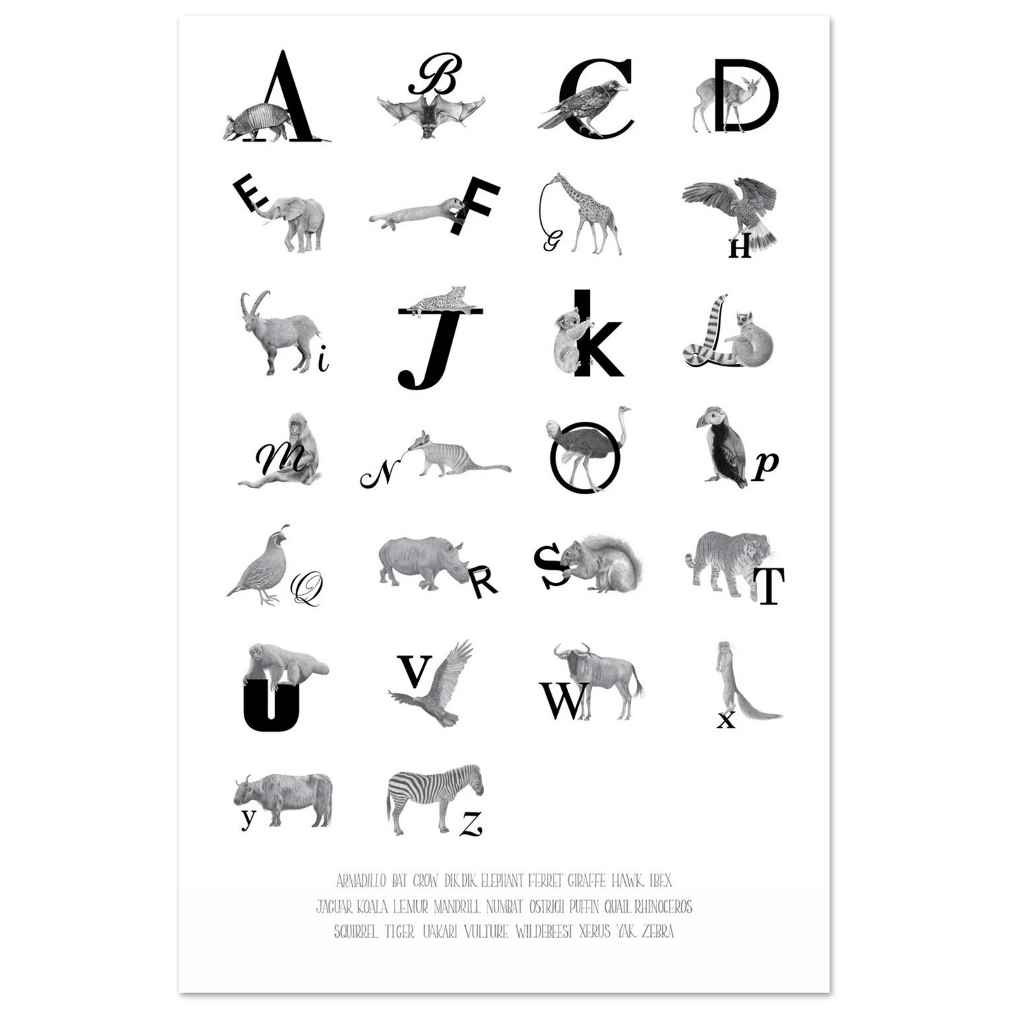 275427cb-28a8-4739-9a26-2502d859d6a2