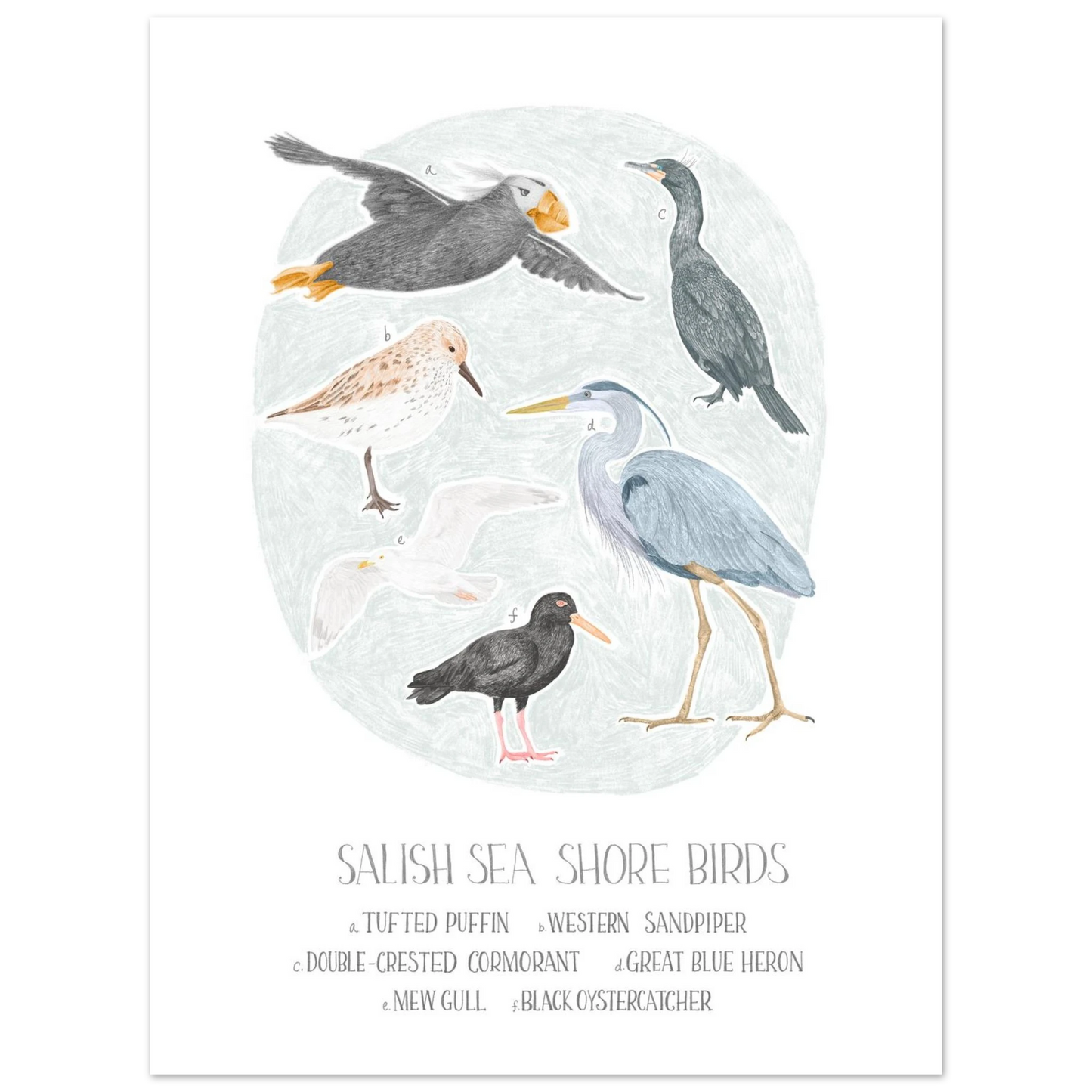 52c0501f-c553-4cee-b7dc-06b918b96afd