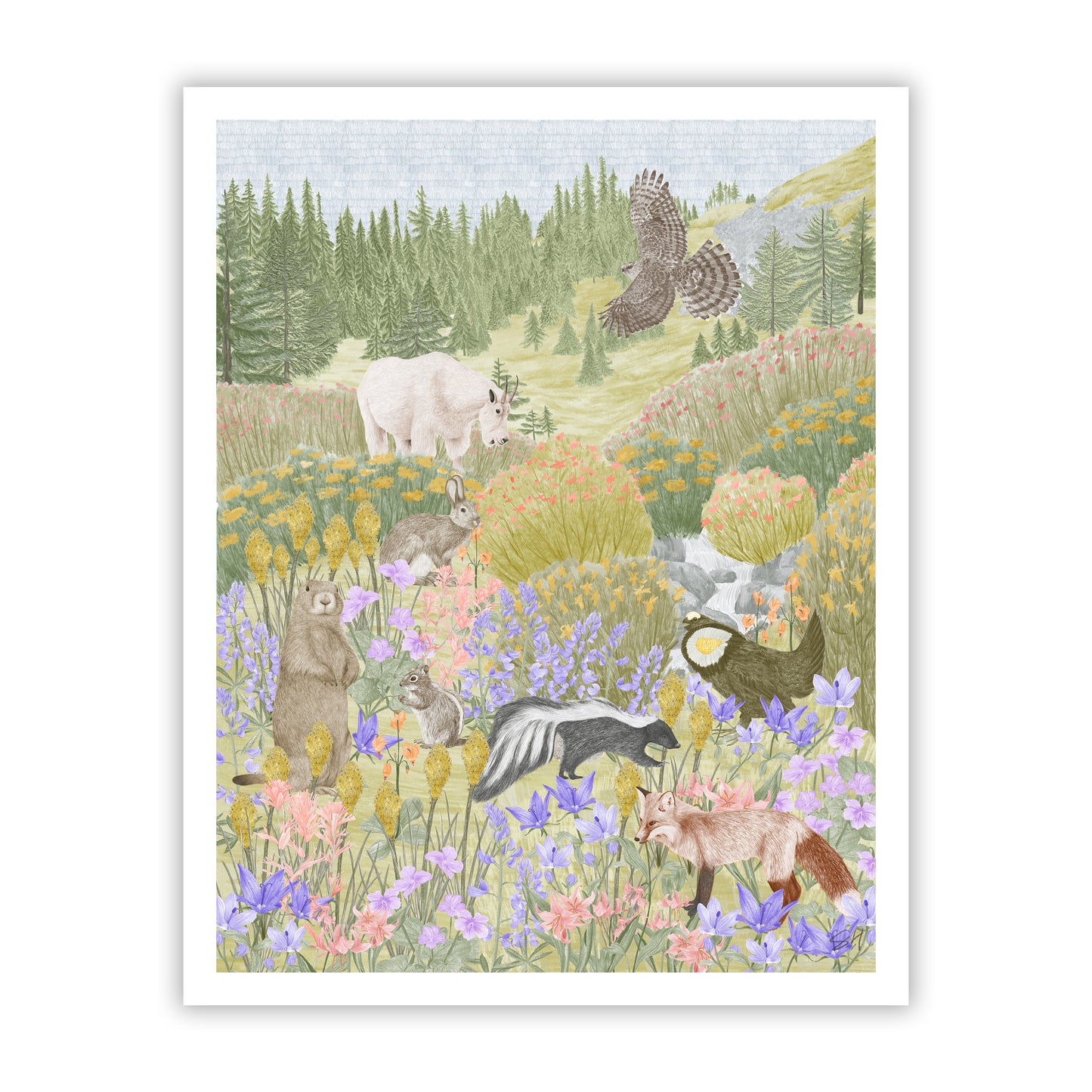 Alpine Meadows Fine Art Giclee Print