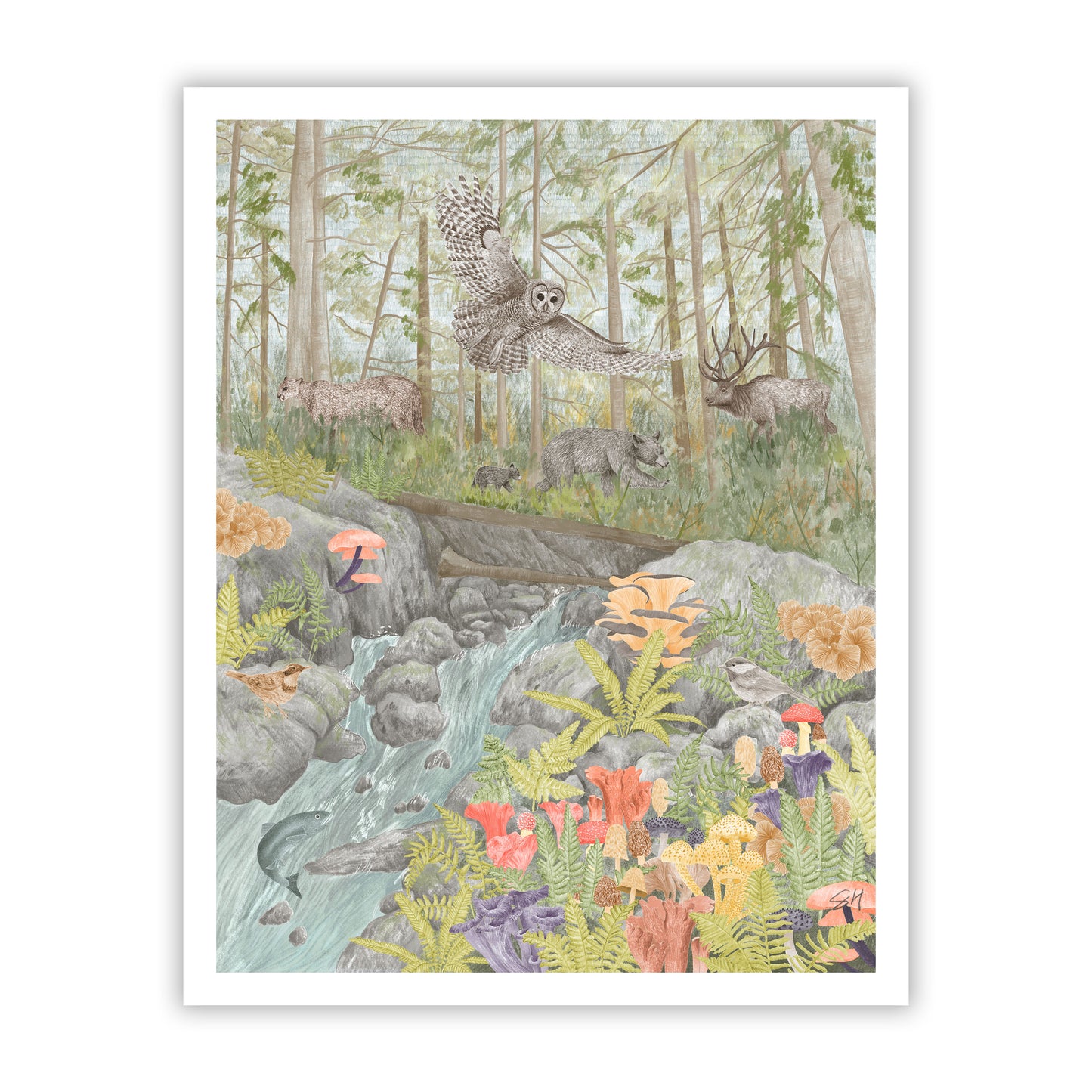 Old Growth Forest Fine Art Giclee Print