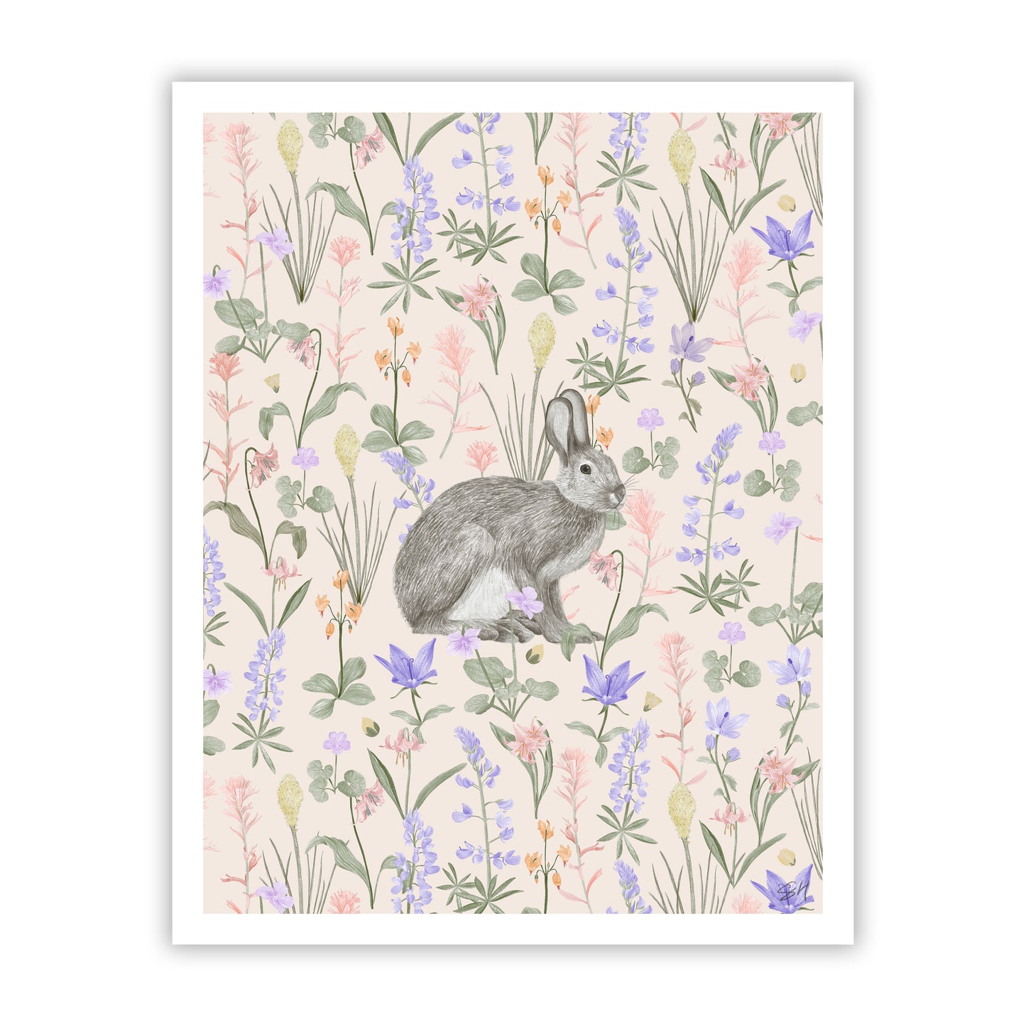 Snow Shoe Hare Fine Art Giclee Print