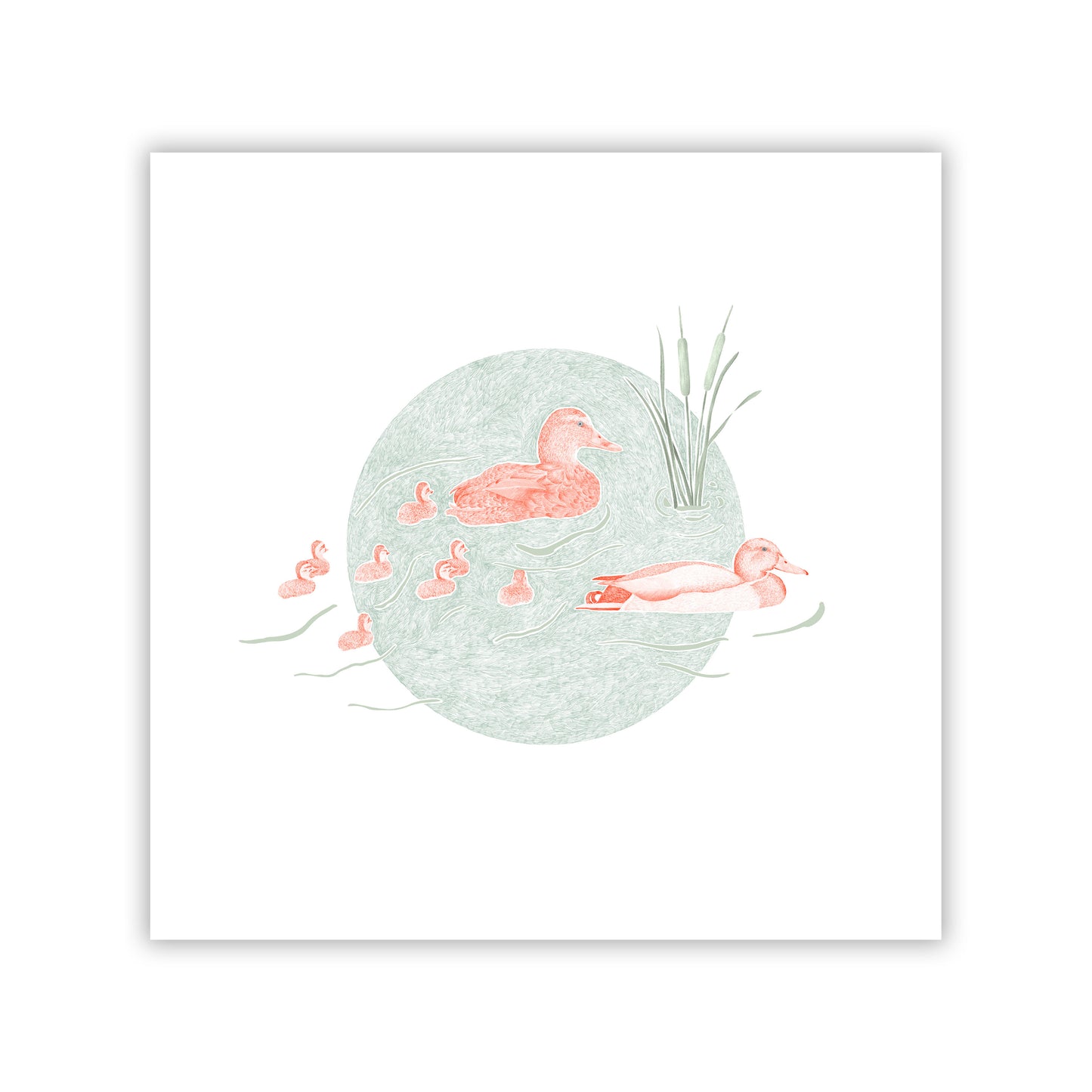 Duck Pond II Fine Art Giclee Print