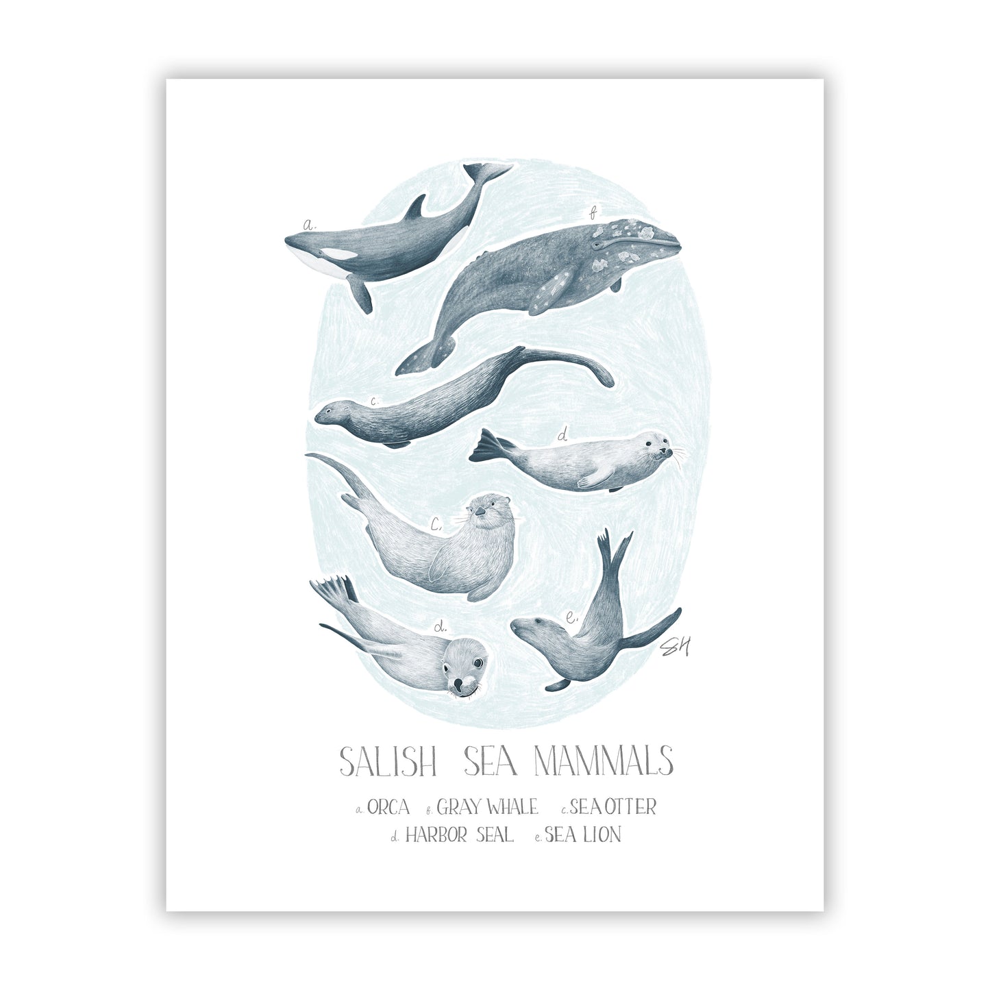 Salish Sea Mammals Field Guide Fine Art Giclee Print