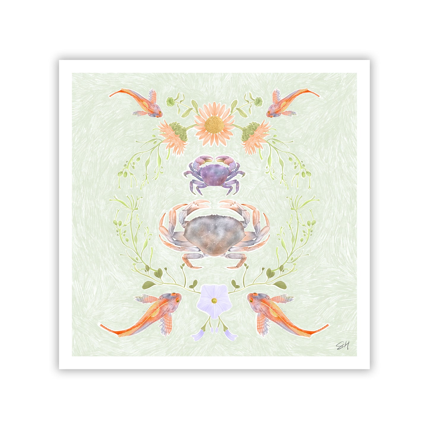 Salish Sea Shore Crabs Fine Art Giclee Print