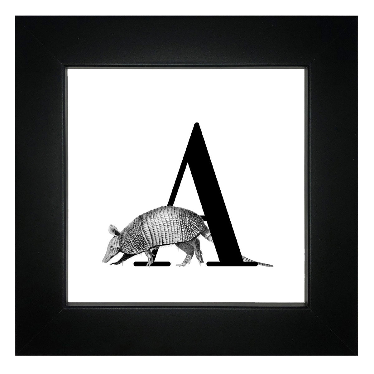 A is for Armadillo Framed Giclee Print