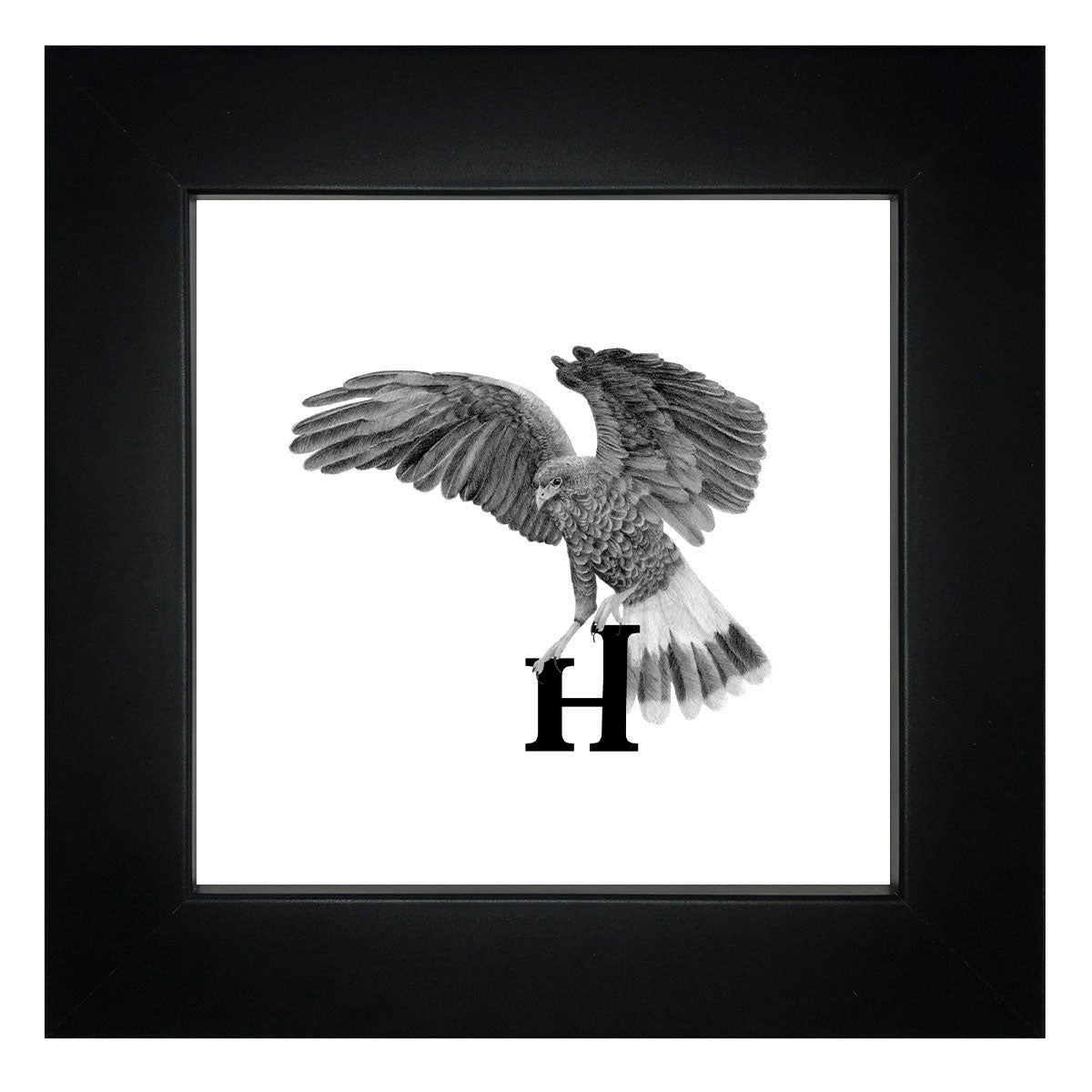 H is for Hawk Framed Giclee Print