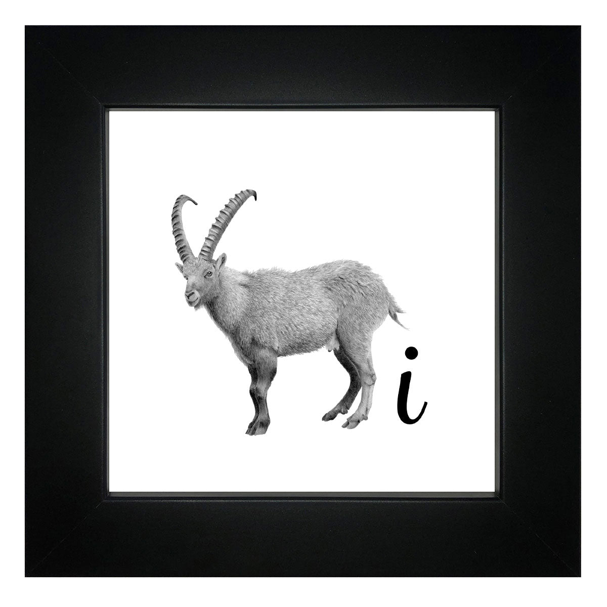 I is for Ibex Framed Giclee Print