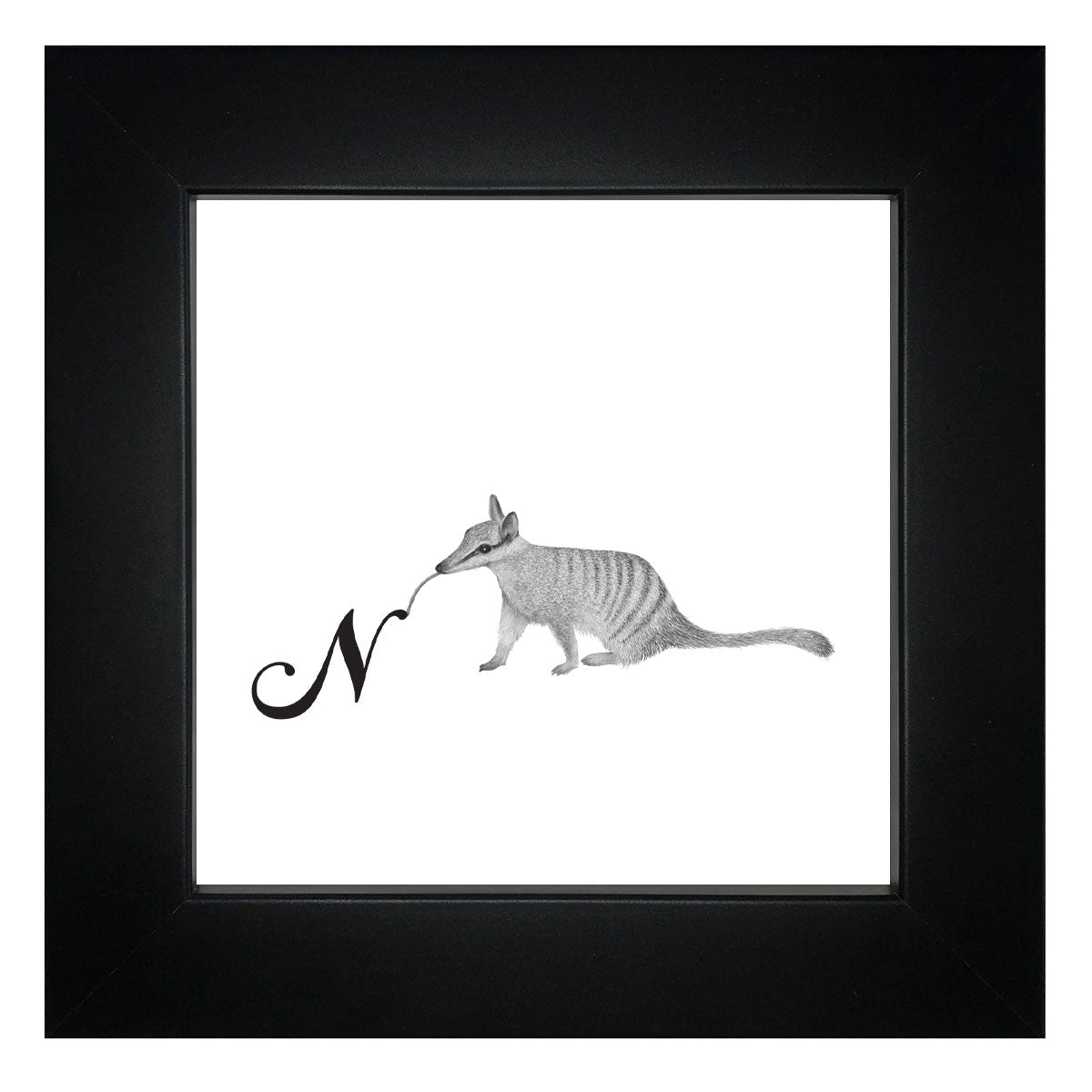 N is for Numbat Framed Giclee Print