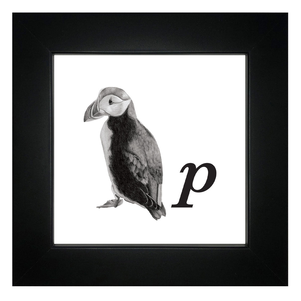 P is for Puffin Framed Giclee Print