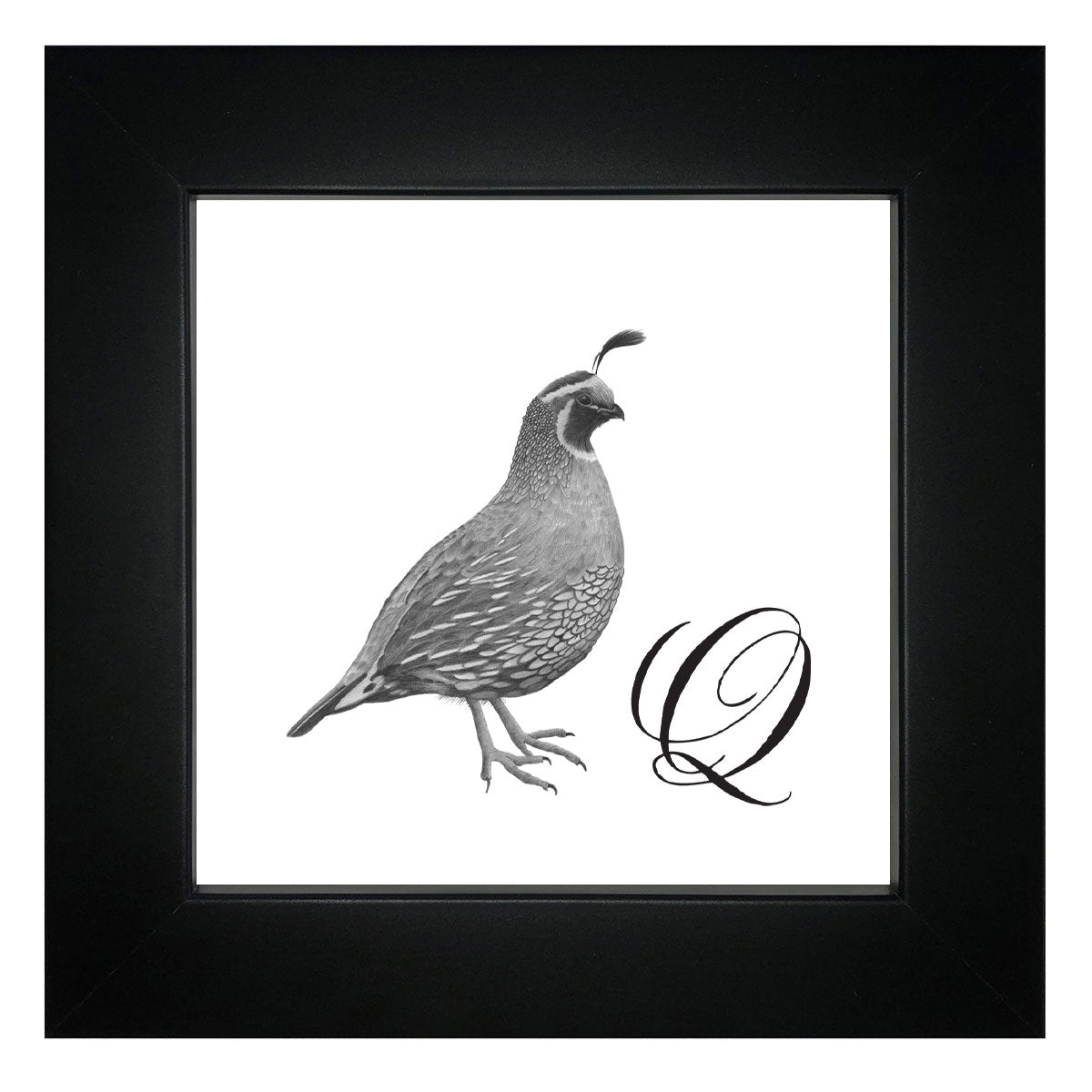 Q is for Quail Framed Giclee Print