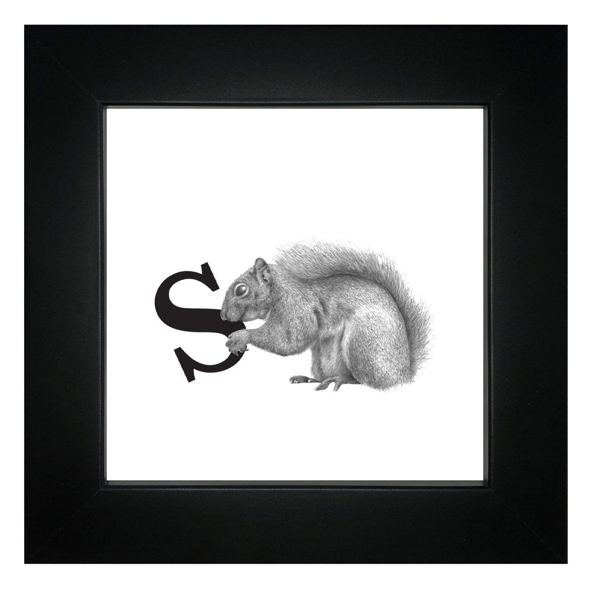S is for Squirrel Framed Giclee Print