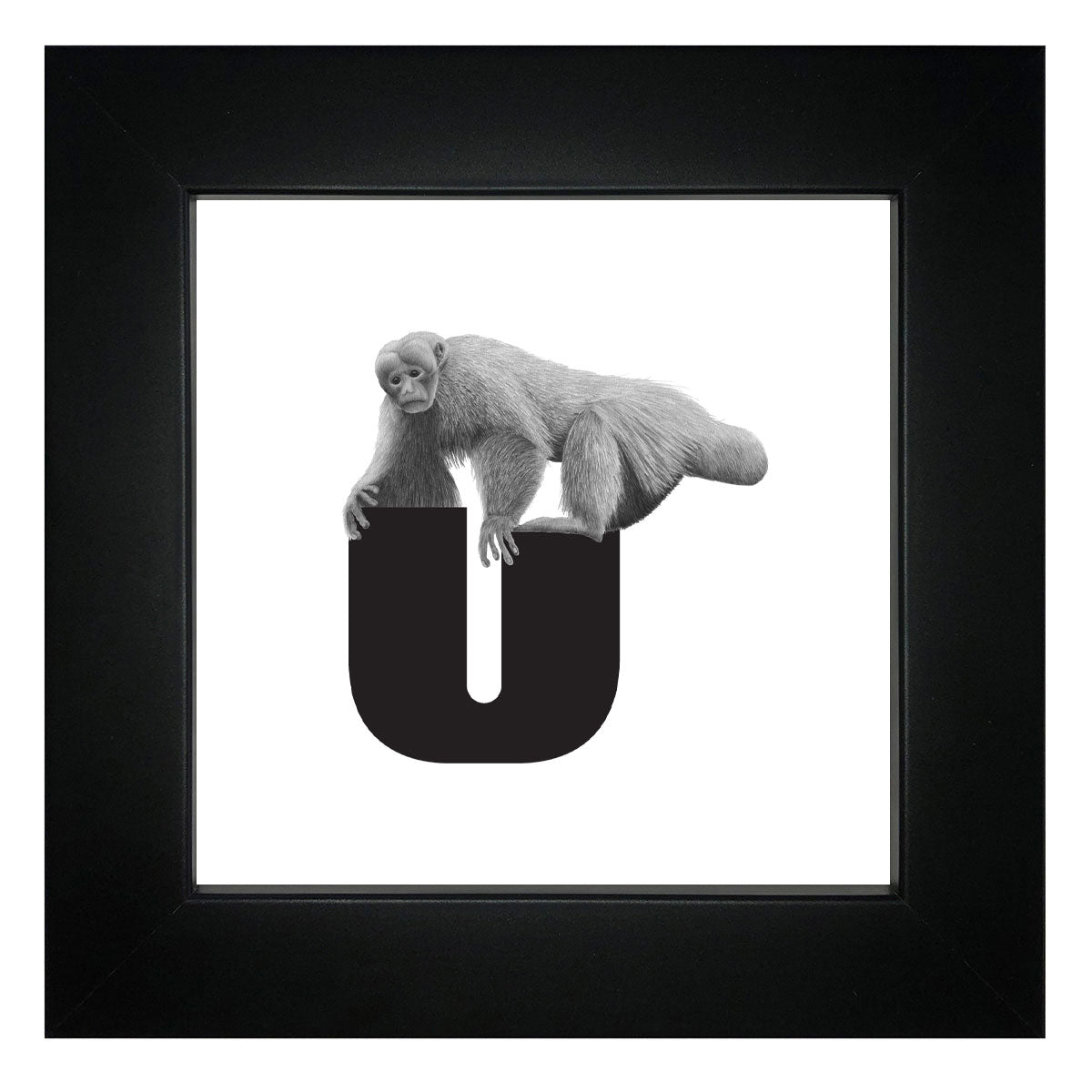 U is for Uakari Framed Giclee Print