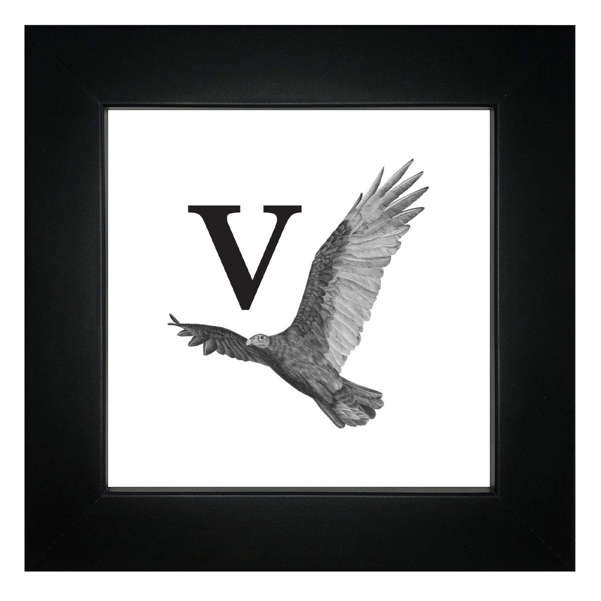 V is for Vulture Framed Giclee Print
