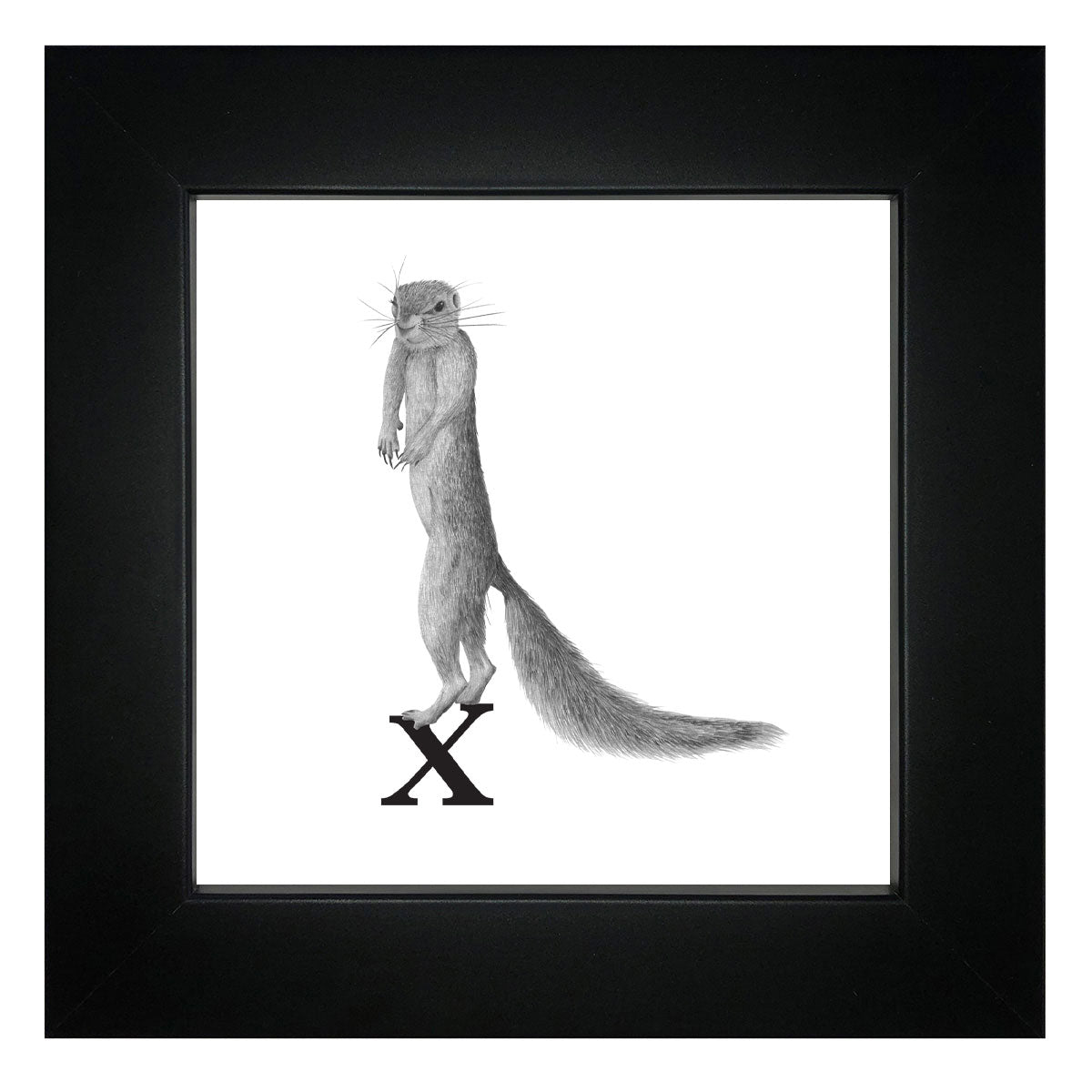 X is for Xerus Framed Giclee Print