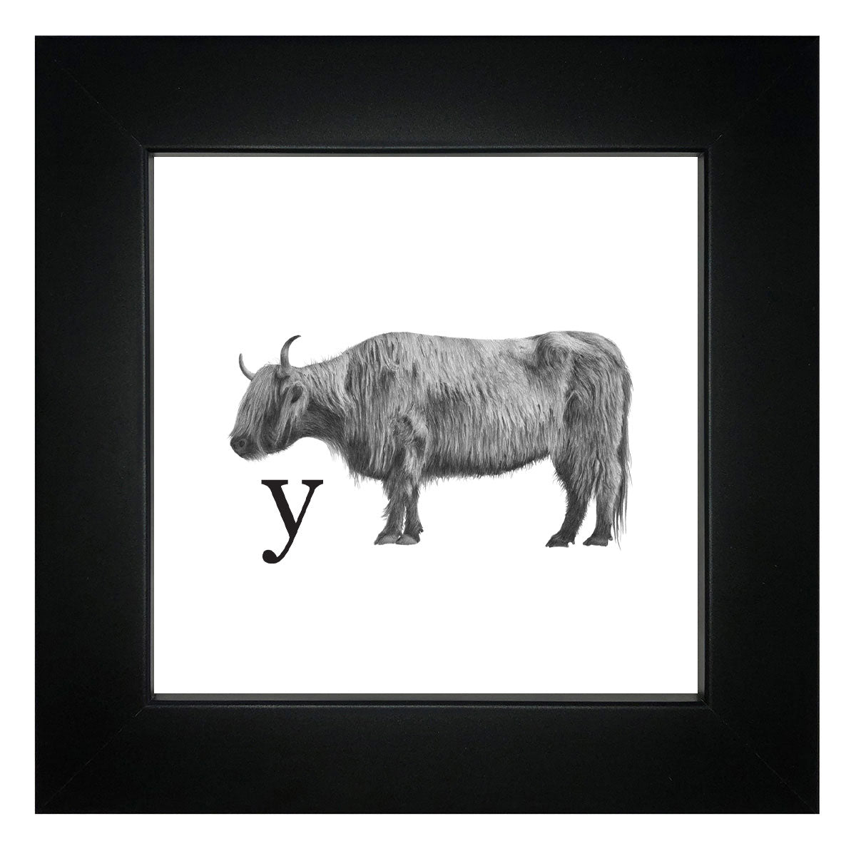Y is for Yak Framed Giclee Print