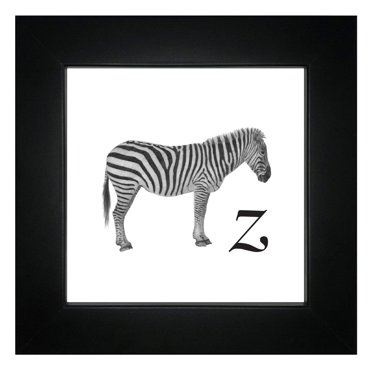 Z is for Zebra Framed Giclee Print