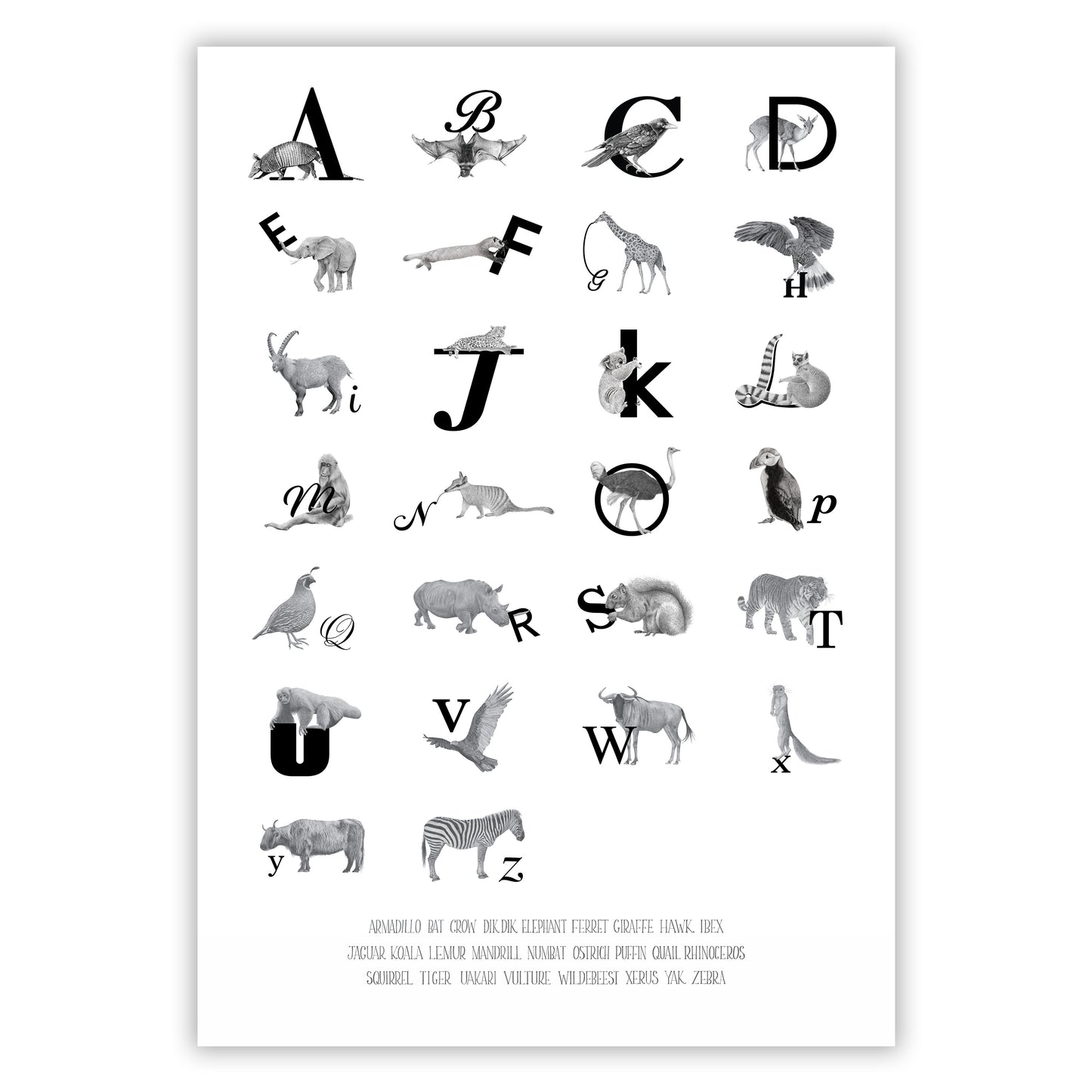 Alphabet Animals Fine Art Giclee Print