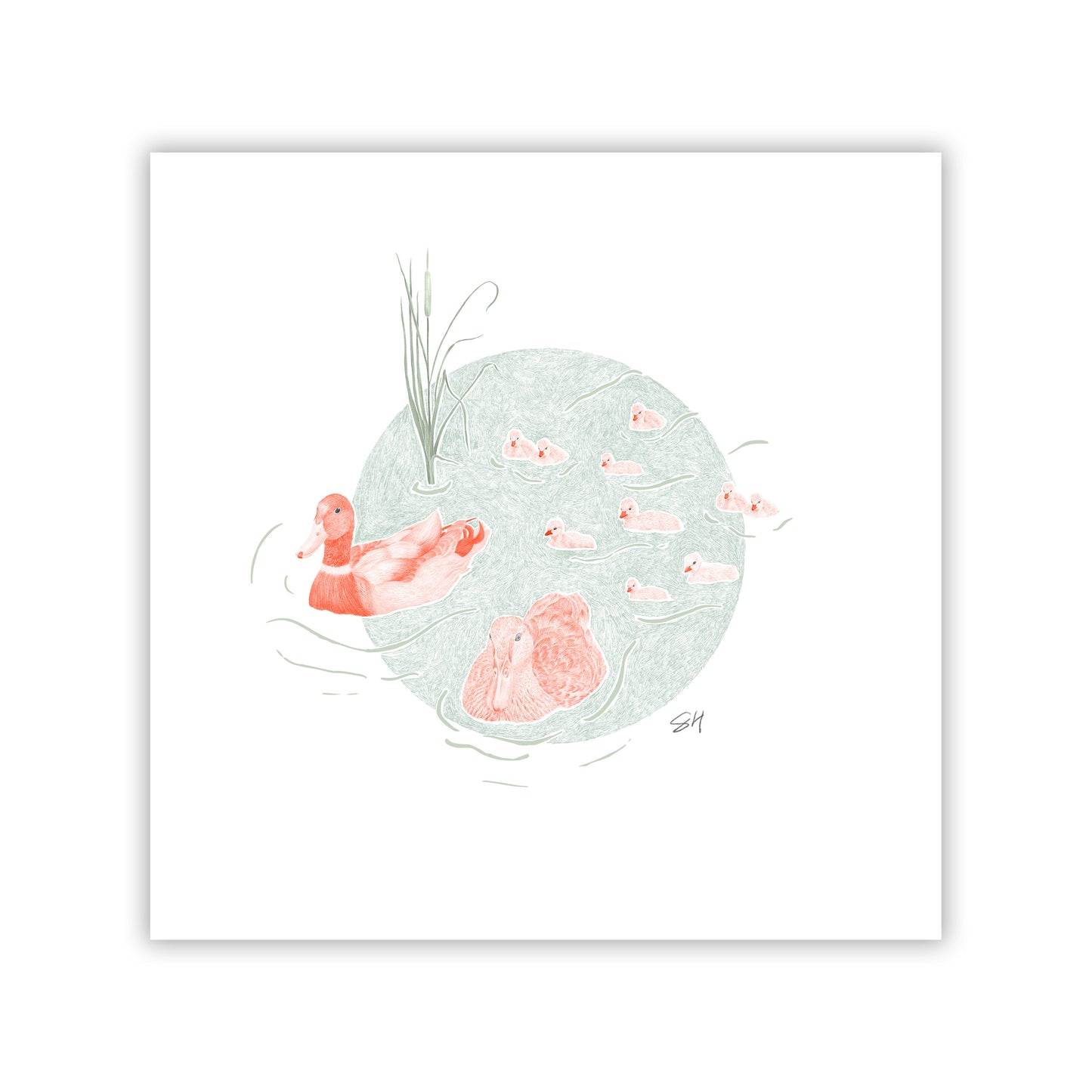 Duck Pond I Fine Art Giclee Print