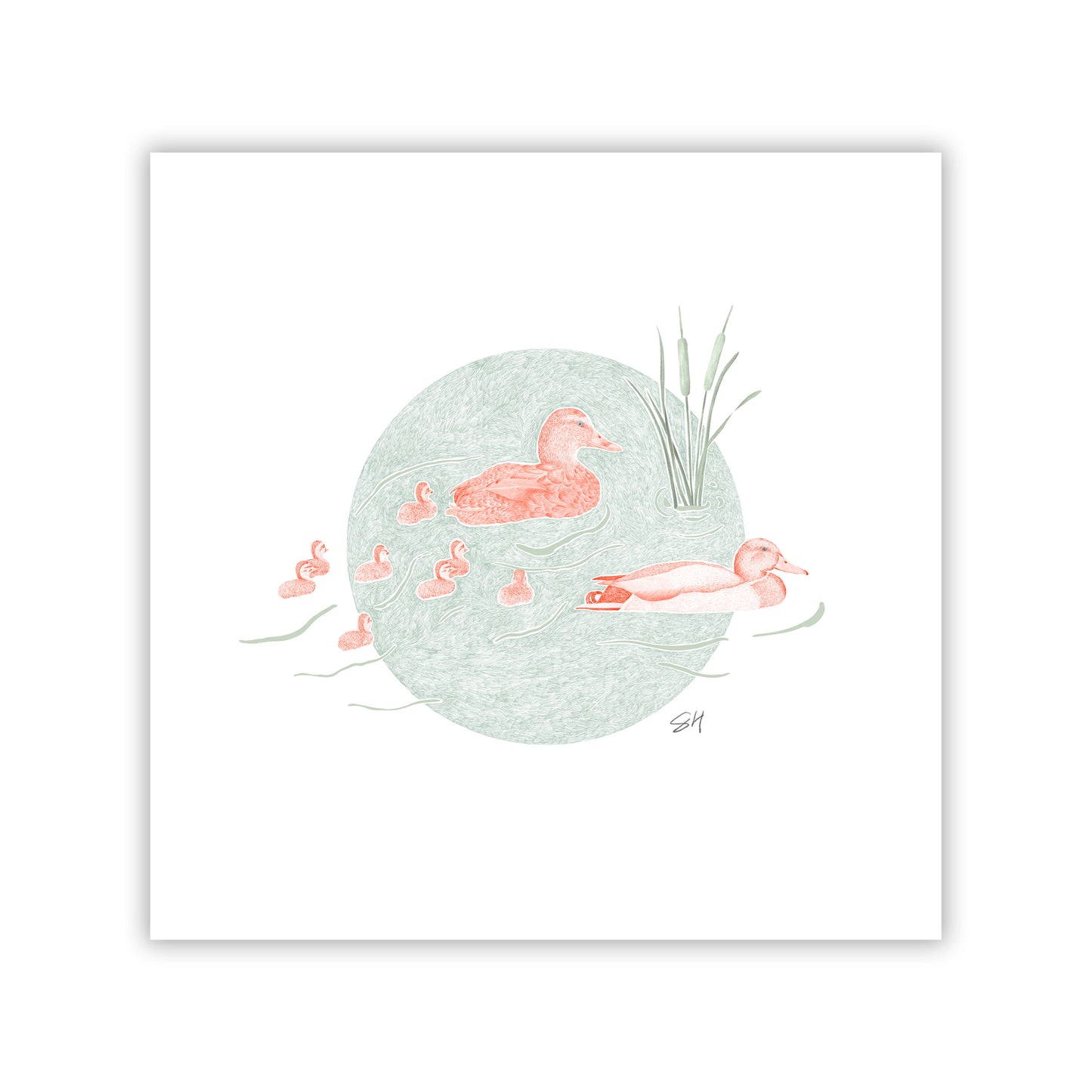 Duck Pond II Fine Art Giclee Print