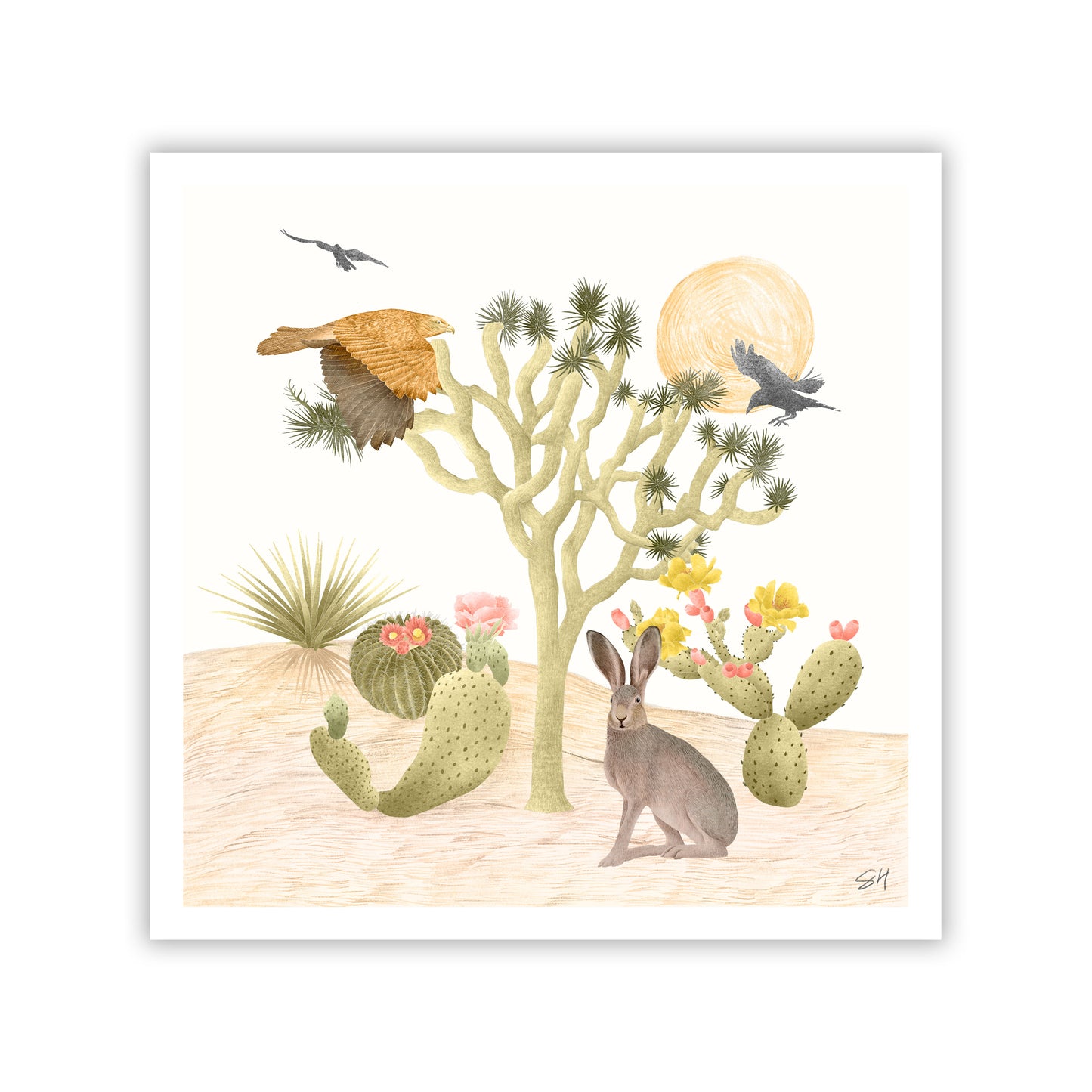 Mojave Desert Fine Art Giclee Print