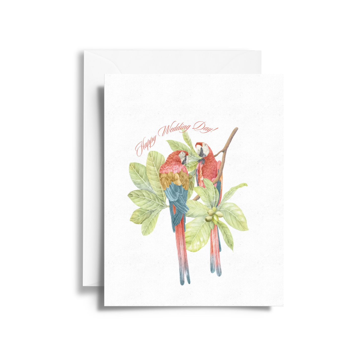 Happy Wedding Day Card | Tropical Macaw Illustration