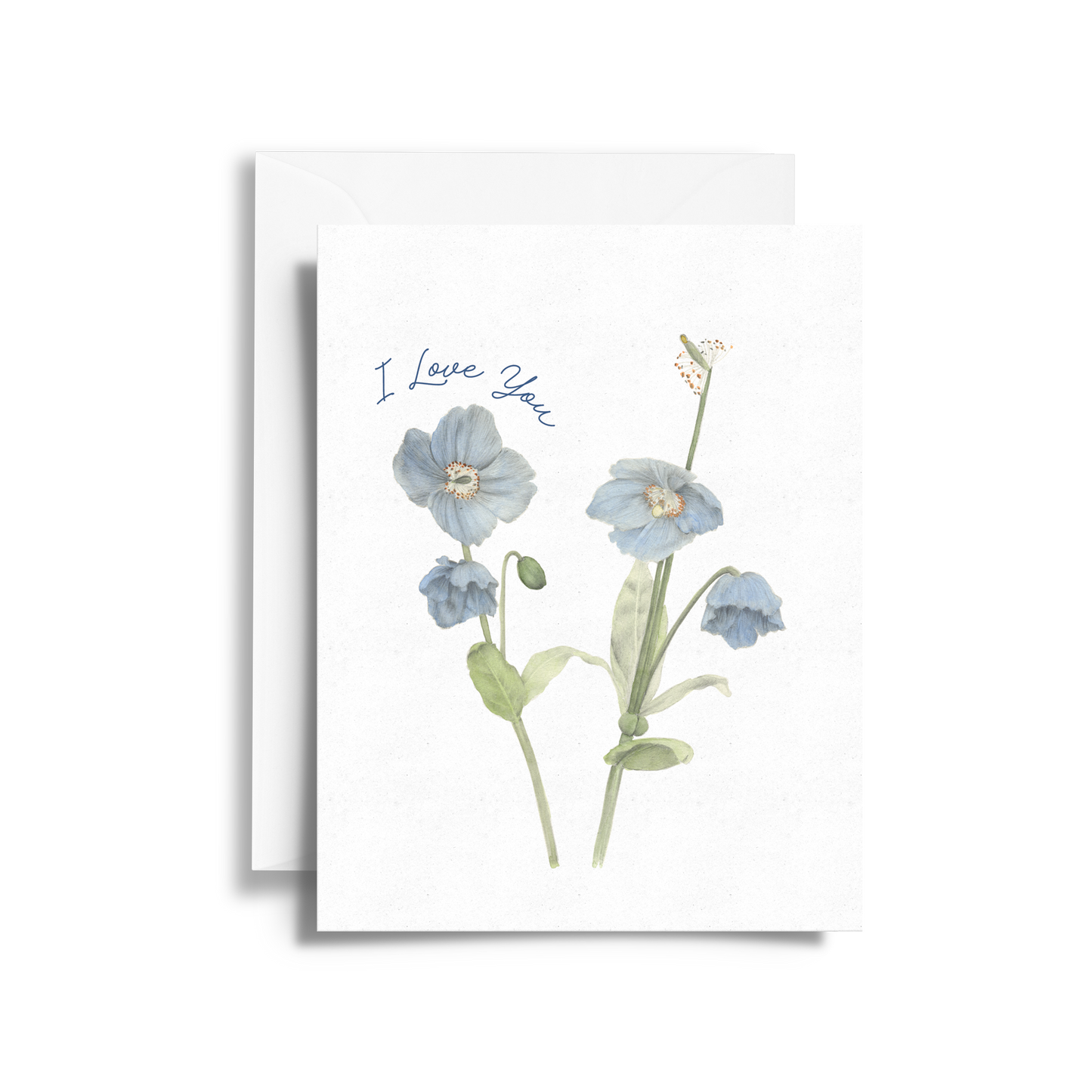 Himalayan Poppies Love Note