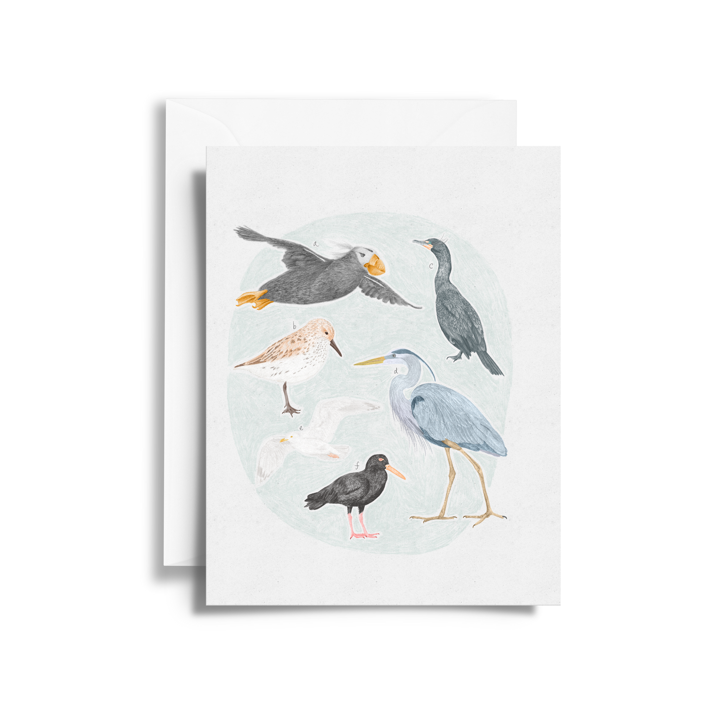 Salish Sea Shorebirds Field Guide Fine Art Card