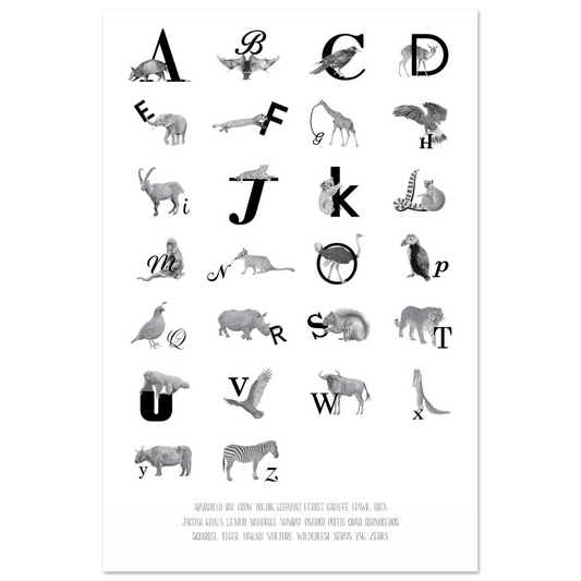 275427cb-28a8-4739-9a26-2502d859d6a2