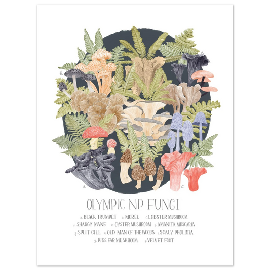 5ecd0f0f-e1b9-42ae-9446-68f3caf604b1