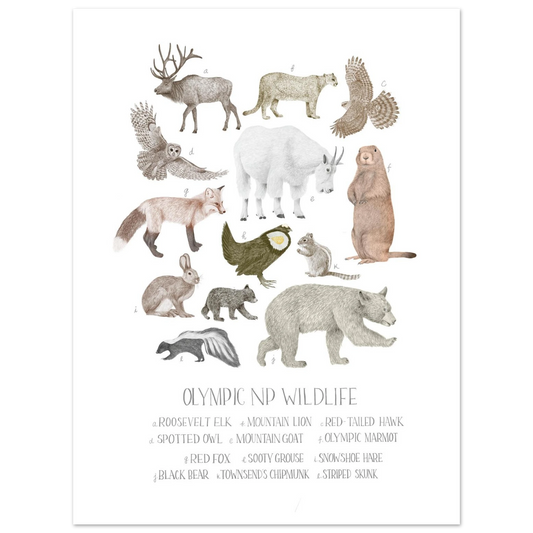 7eaa65d8-eadf-44cc-839a-6c8b0054ecf0