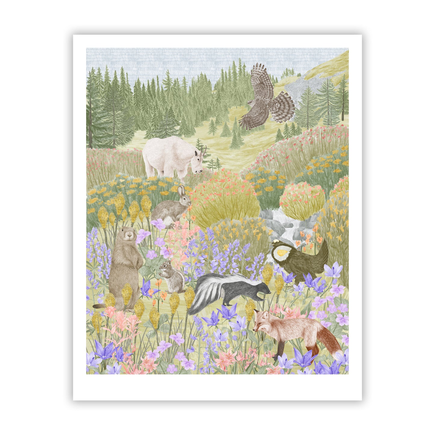 Alpine Meadows Fine Art Giclee Print