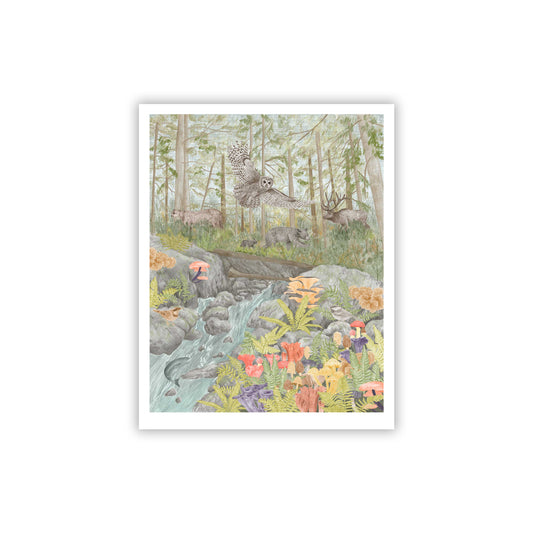 Old Growth Forest Fine Art Giclee Print