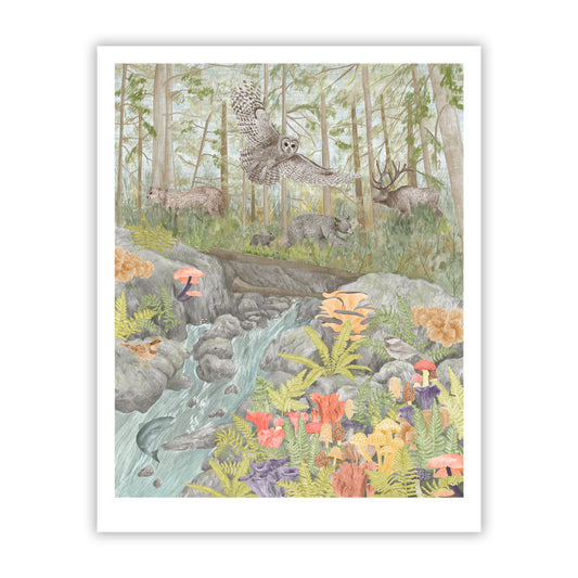 Old Growth Forest Fine Art Giclee Print