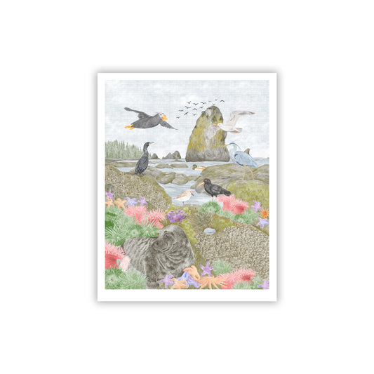 Salish Sea Tide Pools Fine Art Giclee Print