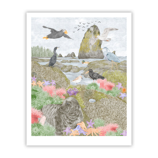 Salish Sea Tide Pools Fine Art Giclee Print