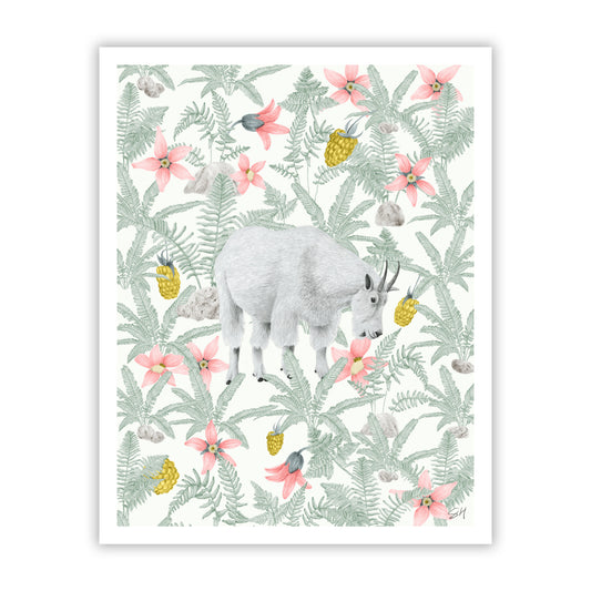 Olympic Mountaint Goat Fine Art Giclee Print