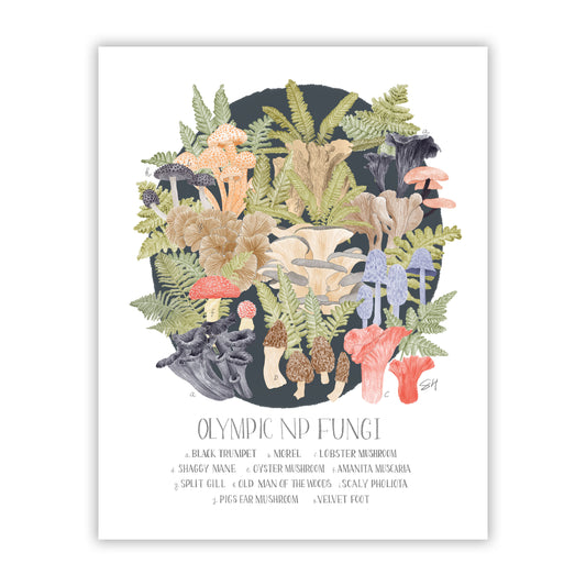 Olympic National Park Mushroom Field Guide Fine Art Giclee Print