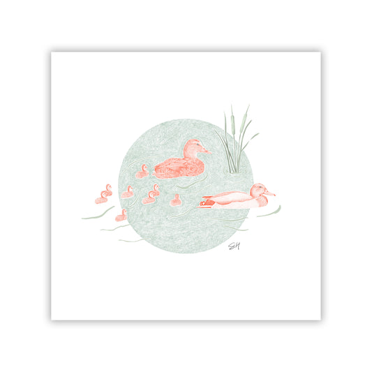 Duck Pond II Fine Art Giclee Print