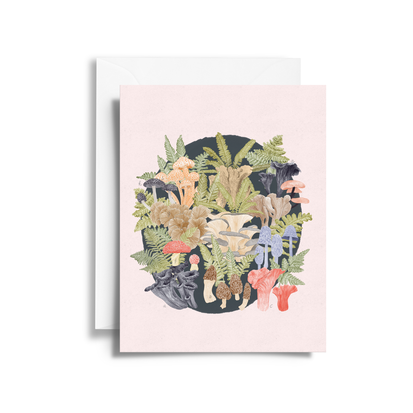 Mushroom Field Guide Fine Art Card