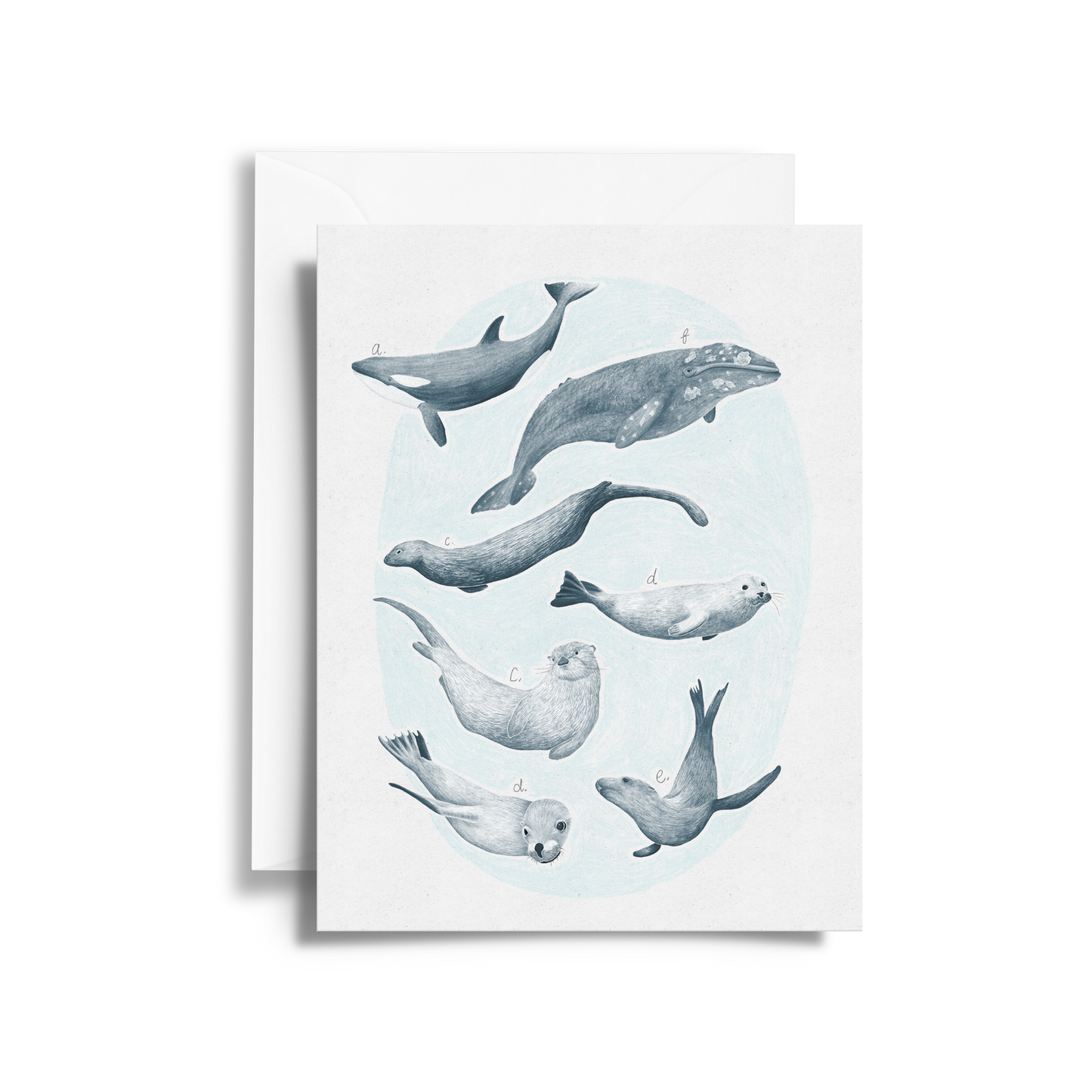 Salish Sea Mammals Field Guide Fine Art Card