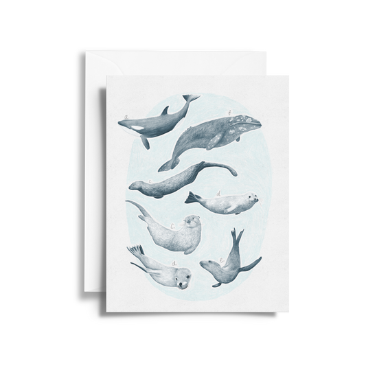 Salish Sea Mammals Field Guide Fine Art Card