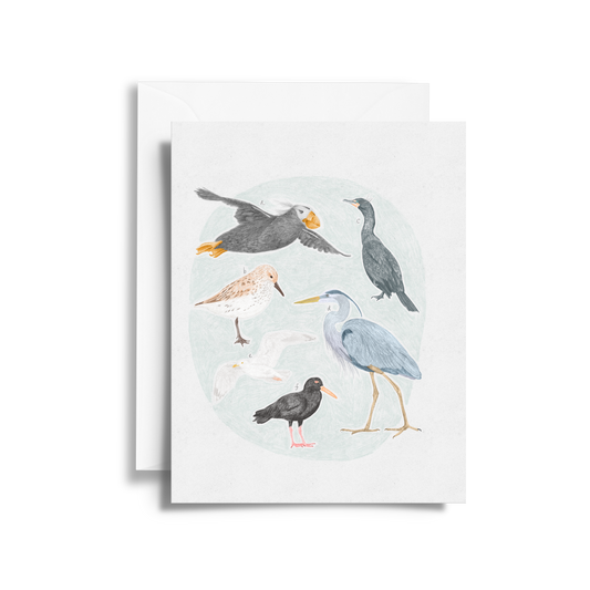 Salish Sea Shorebirds Field Guide Fine Art Card
